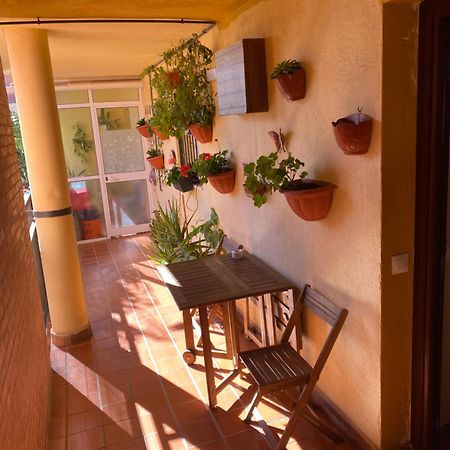Apartamento Arroyo De La Miel Costa Del Sol Daire Benalmádena Dış mekan fotoğraf